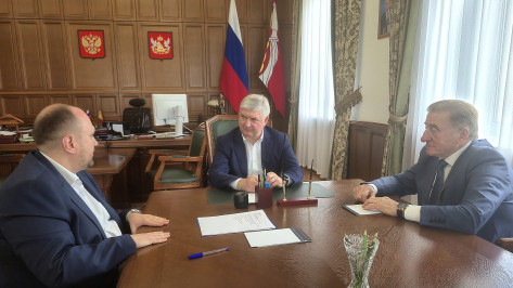 Губернатор Александр Гусев провел рабочую встречу с руководством общественной организации Землячество «Воронежцы»