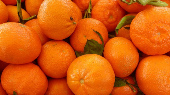 Правительство России опубликовало список попавших под санкции турецких товаров