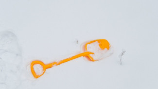 В Воронеже машина задела 2-летнего мальчика на улице Димитрова