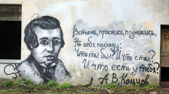 В Семилуках неизвестный нарисовал граффити на памятнике культуры