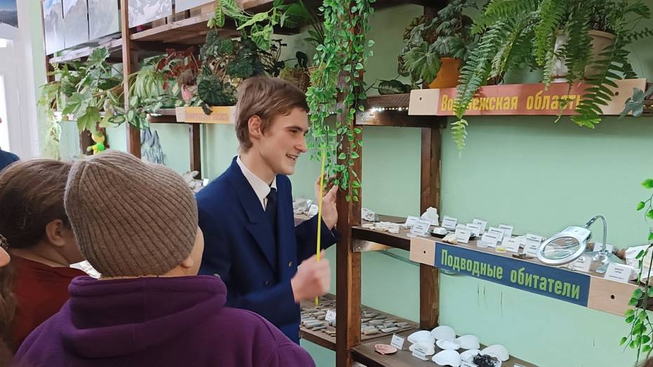 В воронежском селе Бабка открыли палеонтологический музей