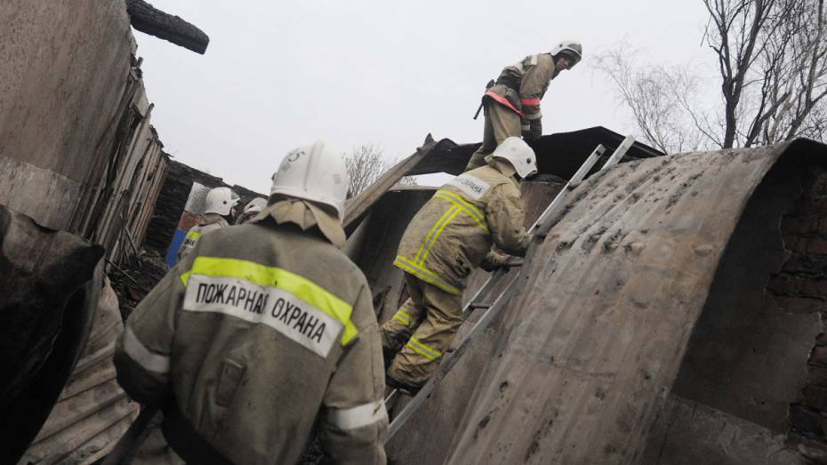 От удара молнии в Воронежской области загорелся частный дом