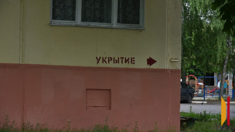 Воронежцы смогут найти адреса ближайших убежищ и укрытий на «Госуслугах»