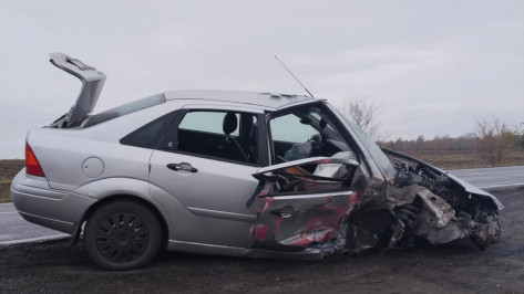 В Воронежской области пьяная женщина на Ford Focus врезалась в остановку