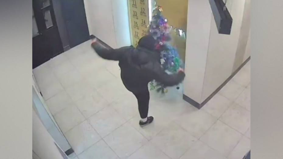 В Воронеже парень ногой снес елку в подъезде