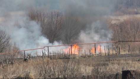 В Лискинском районе из-за сильного ветра выгорел гектар сухой травы
