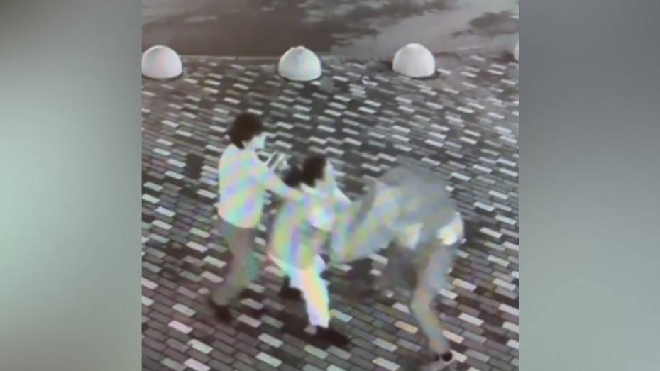 В Воронеже продавцы задержали мужчину, укравшего продукты: видео