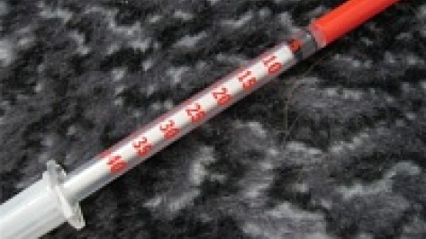 В Воронеже двое мужчин погибли в квартире при странных обстоятельствах