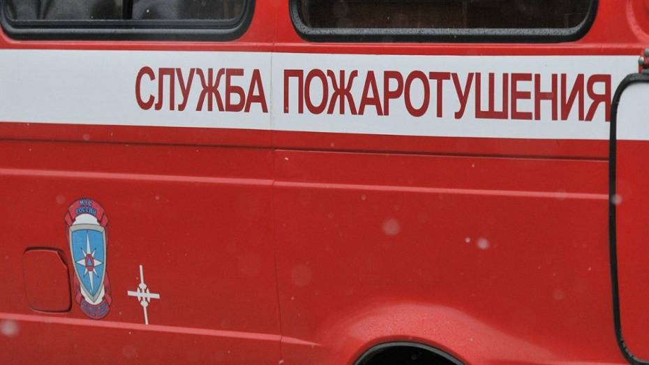 В Воронеже спасатели эвакуировали 19 человек из горящего дома