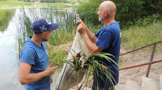 В воронежские реки могут выпустить 400 тыс рыб