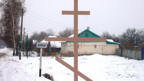 В острогожском селе Девица установили поклонный крест