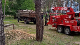 Воронежские лесничие и волонтеры расчистили Северный лес от последствий снеголома