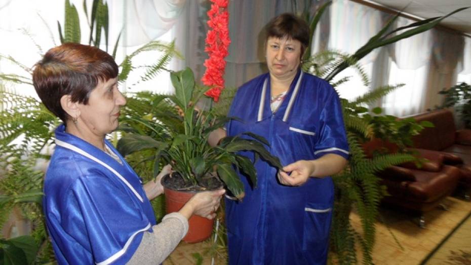 В Рамонском доме-интернате для престарелых и инвалидов растут пять тысяч цветов