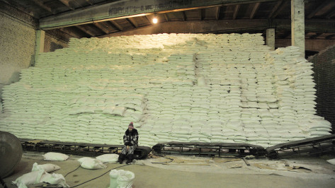 Предприятия Воронежской области выработали 303 тыс т сахара
