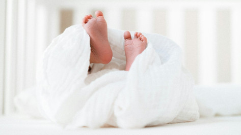 Почти 59 тыс сертификатов на маткапитал выдали проактивно в Воронежской области