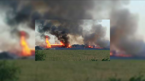 В Воронежской области на видео попал пожар в складе площадью 1,4 тыс «квадратов»