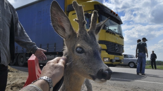 В Таловском районе 
