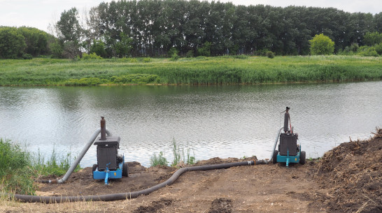 «Не пруд, а лужа». Дачники из воронежского села пожаловались на откачивание воды