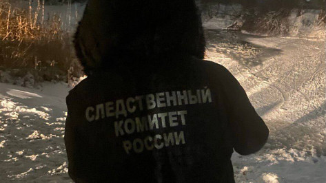 Под Воронежем двое мальчиков провалились под лед и утонули