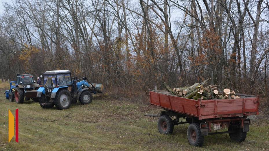 В Воробьевском районе заготовили дрова для участников СВО и их семей