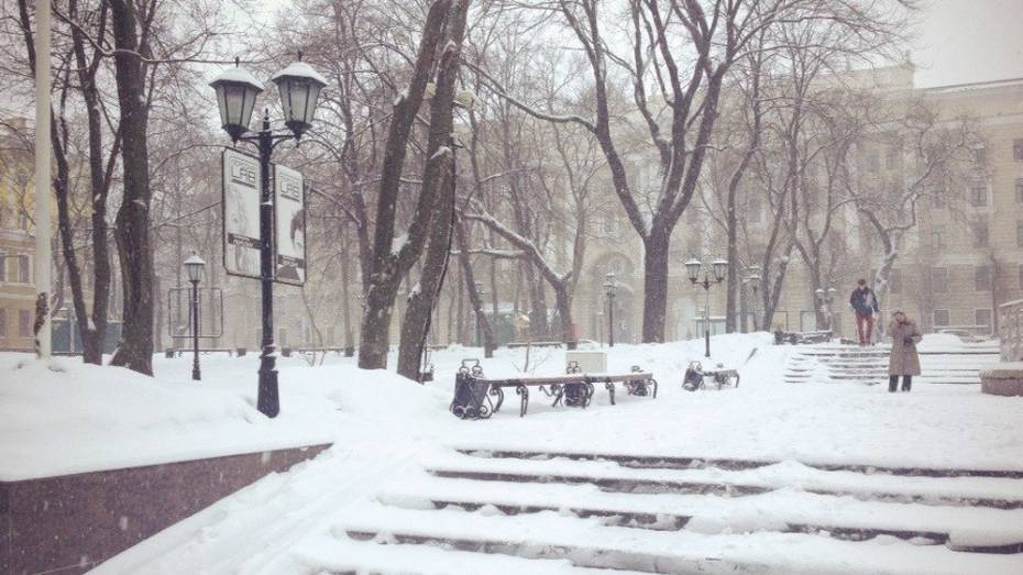 В Воронеже снег будет идти до конца года