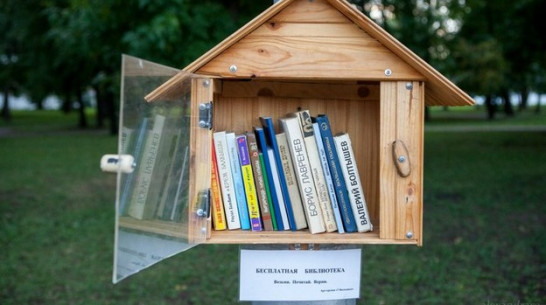 Воронежский фотограф хочет развесить в парках библиоскворечники