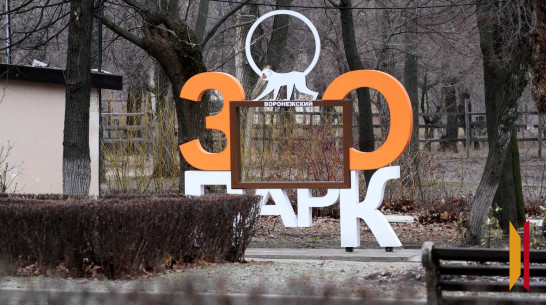 В Воронежском зоопарке рассказали, как животные готовятся к зиме