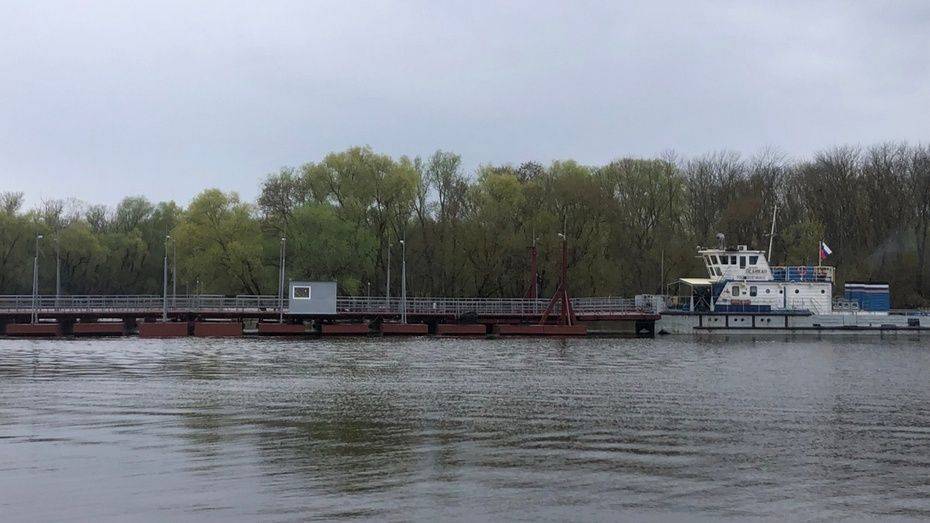 Павловский завод построит новый двухполосный наплавной мост через Дон в Воронежской области