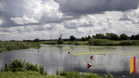 Двое мужчин утонули в Воронежской области 10 августа
