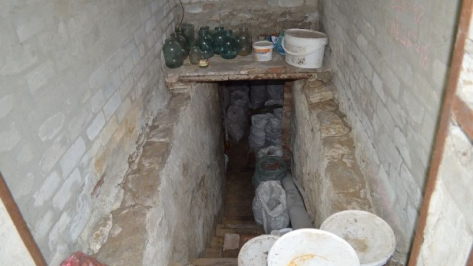 Под Воронежем мумию пропавшей женщины нашли в погребе через год