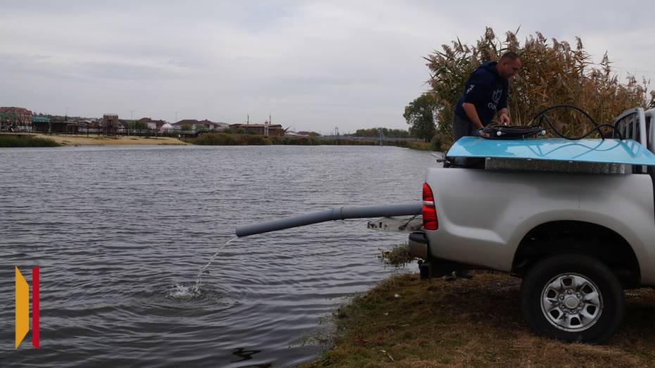 В реку Богучарка выпустили 30 тыс мальков сазана
