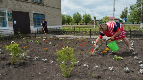 В нижнедевицком селе разбили два цветника за 100 тысяч рублей