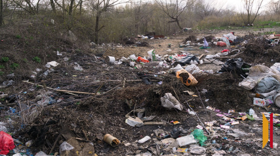 В Воронежской области обнаружили несанкционированную свалку площадью 700 кв м