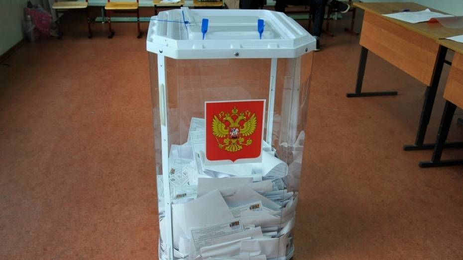 Воронежских общественных наблюдателей на выборах будут обучать по уникальной методике