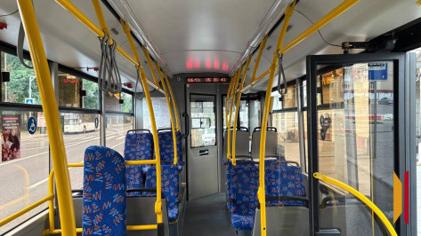 В Воронеже ужесточат требования к частным перевозчикам, работающим на городских маршрутах