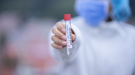 Миллион тестов на коронавирус сделали в Воронежской области