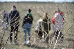 Почти 50 тыс саженцев высадят воронежцы весной в рамках Международной акции «Сад памяти»
