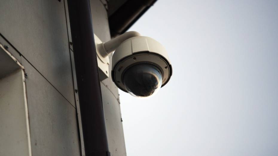 Жители Воронежской области установили более 100 тыс камер для домашнего видеонаблюдения