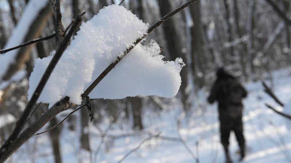 В Воронеже средняя месячная температура в феврале будет выше нормы 