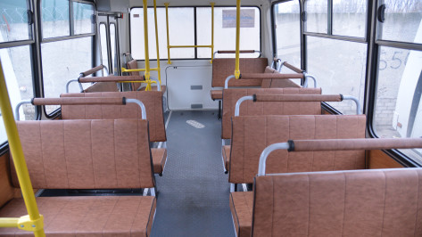 Еще 14 воронежских автобусов пополнили список потенциально «опасных»