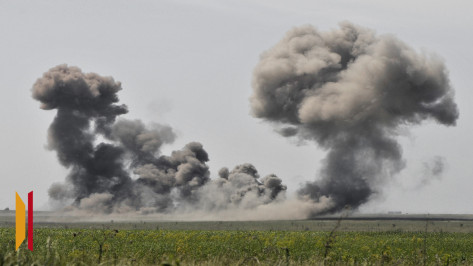 В Воронежской области уничтожили два артиллерийских снаряда времен ВОВ