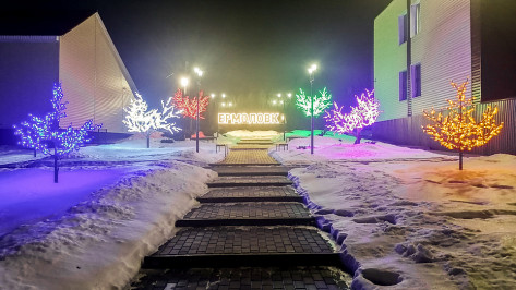 В центре лискинского села Ермоловка установили светодиодные деревья