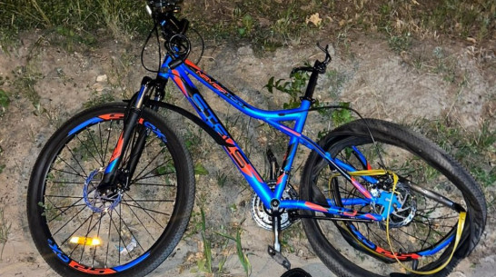 В Воронежской области под колесами автомобиля погиб 14-летний мальчик на велосипеде