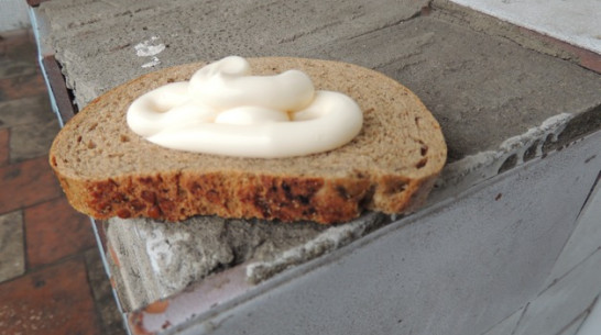 В Рамонском районе вор уносил с дач телевизоры и майонез