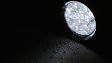 В Воронежской области назвали район, где чаще всего пропадают люди