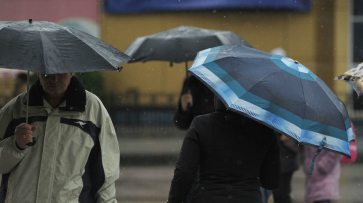 Дожди и небольшое похолодание ожидают в Воронеже в будни