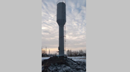 В нижнедевицком хуторе Дмитриевский установили новую водонапорную башню