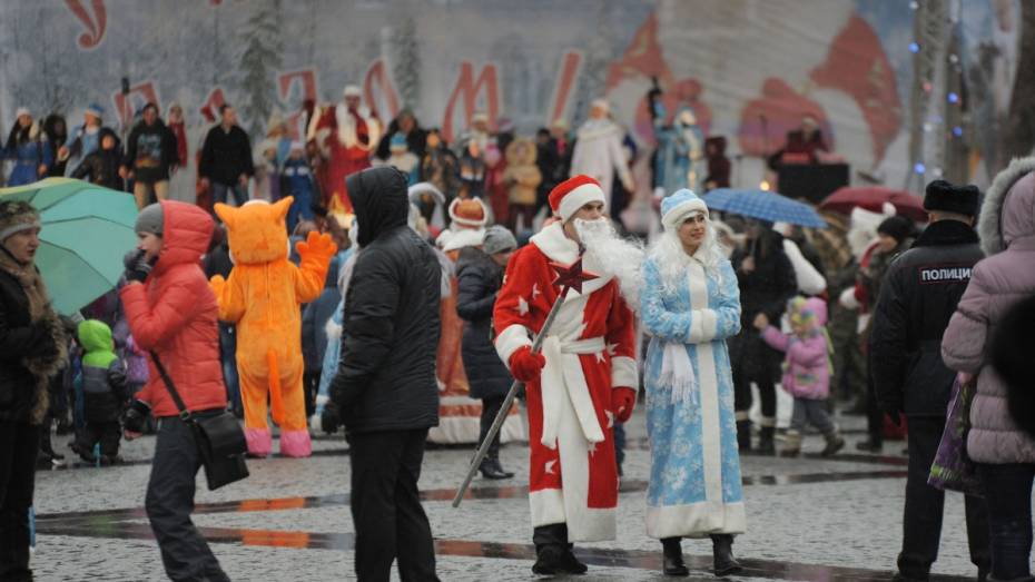 Последние декабрьские выходные в Воронеже будут теплыми и дождливыми