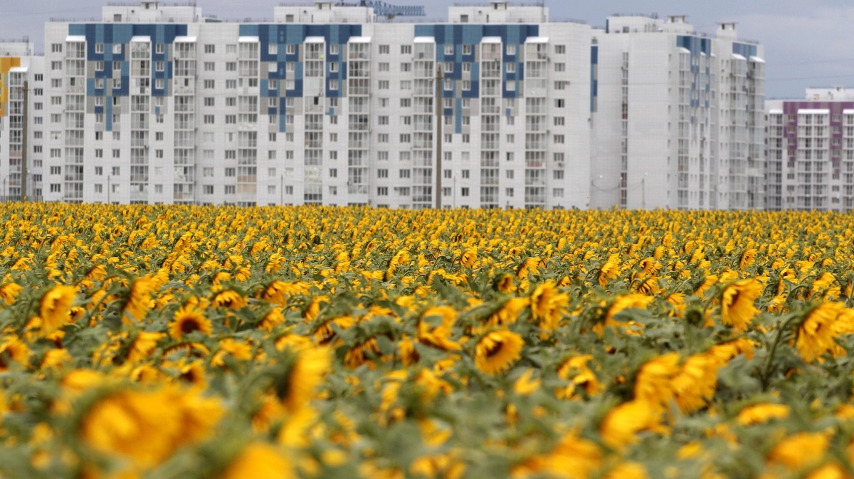 Среди городских. Анадырь город фото 2021 года. Город сад Воронеж 2021 фото экспозиции. Город сад Воронеж 2021 фото.