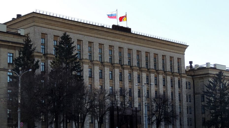 Власти официально опровергли фейки о взрывах в районах Воронежской области
